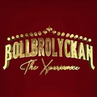 Ägare och kreativ ledare, Bollbrolyckan - The Xperience